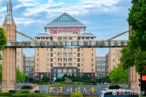 Universidad de Ciencia y Tecnología de Wuhan